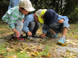 img0029.jpg