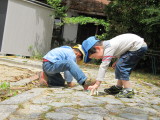 img0030.jpg