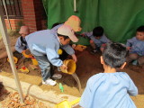 img0038.jpg