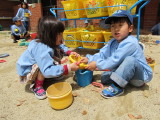 img0042.jpg