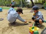 img0043.jpg