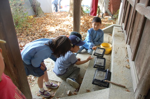 img0012.jpg