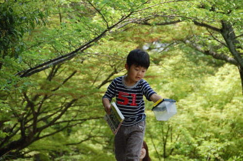 img0013.jpg