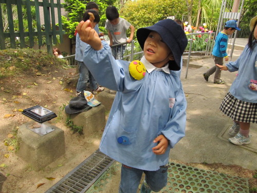 img0031.jpg