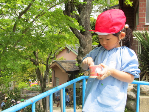 img0038.jpg