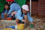 img0011.jpg
