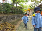 img0025.jpg