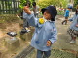 img0031.jpg