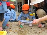 img0042.jpg