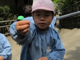 img0053.jpg