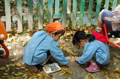 img0002.jpg