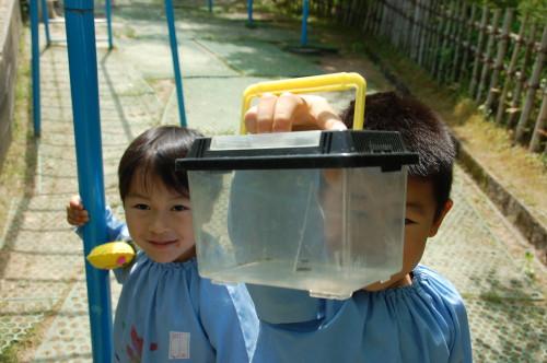 img0005.jpg