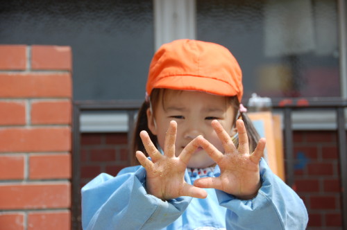 img0016.jpg