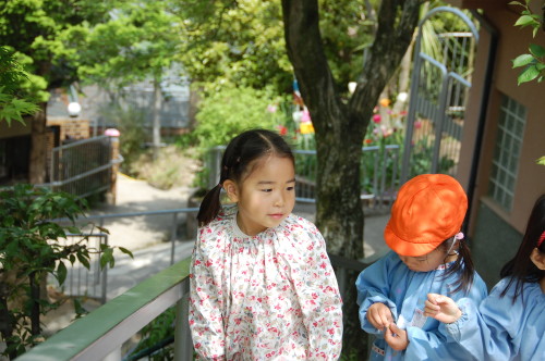 img0020.jpg