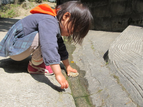 img0039.jpg