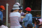 img0018.jpg