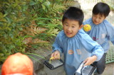 img0023.jpg