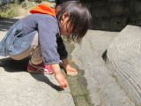 img0039.jpg