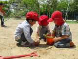 img0049.jpg