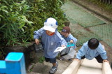 img0007.jpg