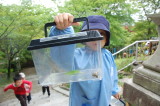 img0013.jpg
