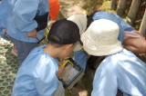 img0018.jpg