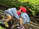 img0037.jpg