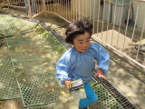 img0038.jpg