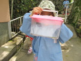 img0041.jpg