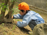 img0004.jpg