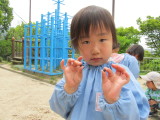 img0009.jpg