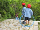 img0016.jpg