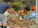 img0027.jpg
