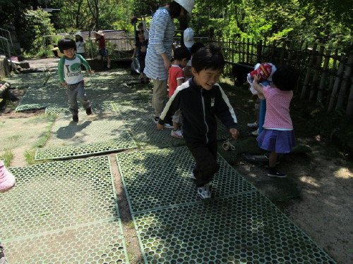 img0013.jpg