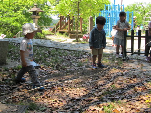 img0031.jpg