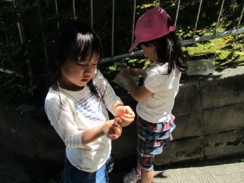img0043.jpg