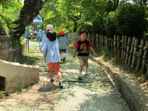 img0062.jpg