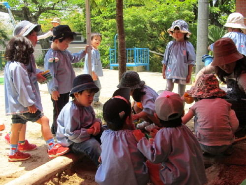 img0080.jpg