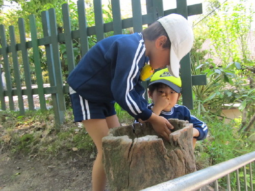 img0084.jpg
