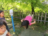 img0005.jpg