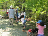 img0010.jpg