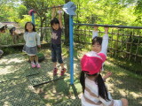 img0016.jpg