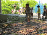 img0029.jpg