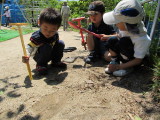 img0040.jpg