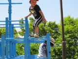 img0042.jpg