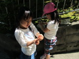 img0043.jpg
