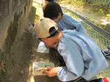 img0059.jpg