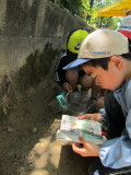 img0060.jpg