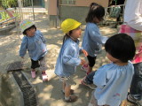img0061.jpg