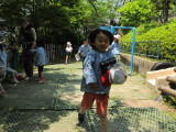 img0067.jpg